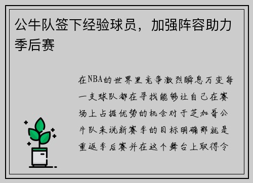 公牛队签下经验球员，加强阵容助力季后赛
