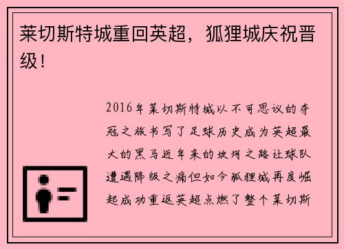 莱切斯特城重回英超，狐狸城庆祝晋级！